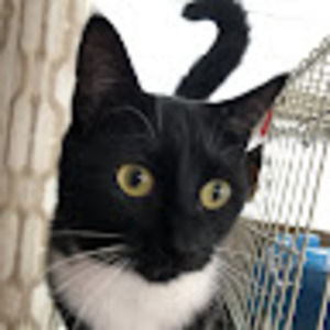 Meet your Posher, Becky